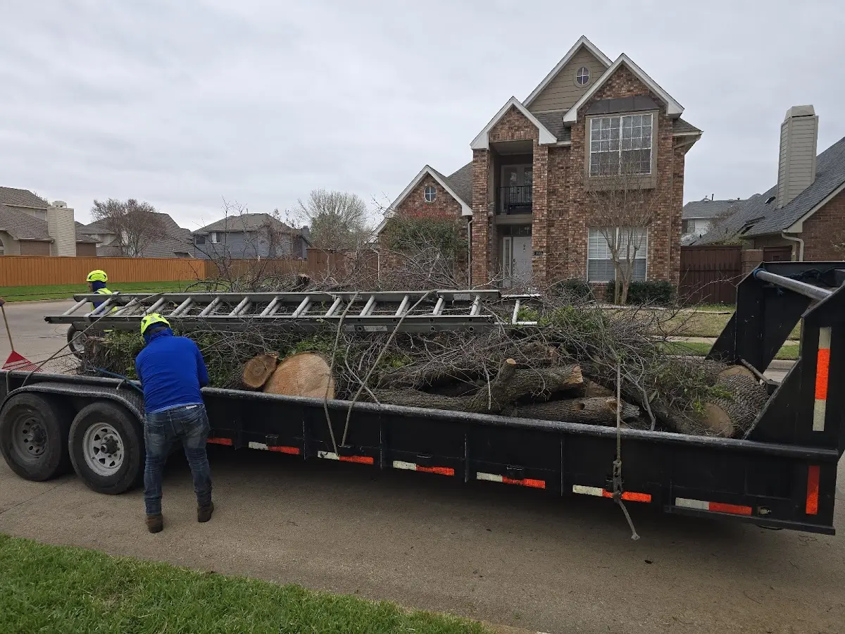 Expert Lot Clearing with proper safety equipment in Prairie Village